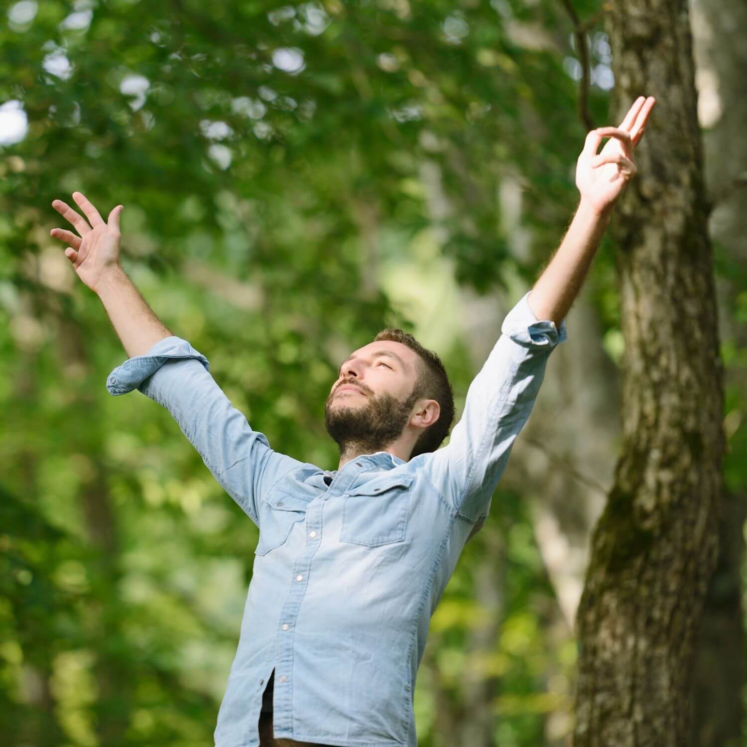 Man in a blue shirt enjoying nature with arms raised, embodying joy and tranquility in a lush green forest.
